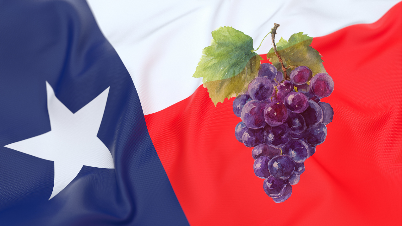 Estate Planning Attorney in Grapevine